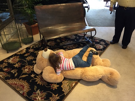 Greta attacking the bear at Good s Furniture4